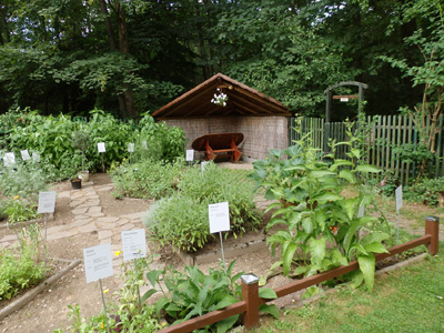 Der Kräutergarten